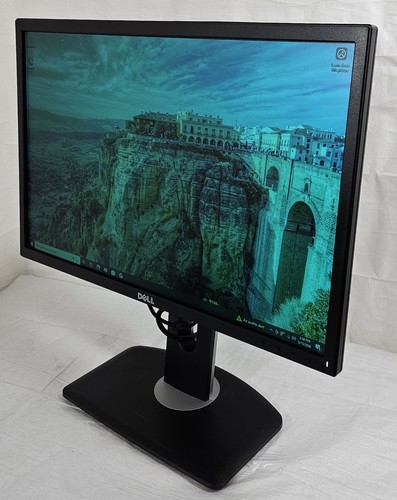 Dell p2217 flat panel - 22'',